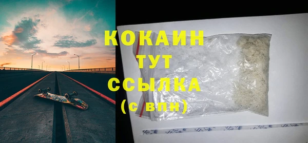 сатива Арсеньев