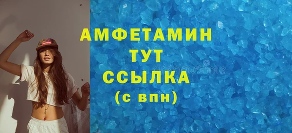 гашик Осинники